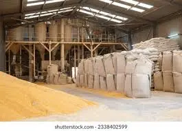 maize store.webp
