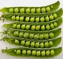 pigeon peas (mbaazi).webp