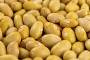 yellow beans.webp