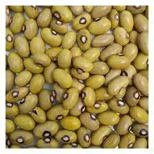 yellow beans 2.webp