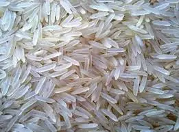 basmati rice 1.webp