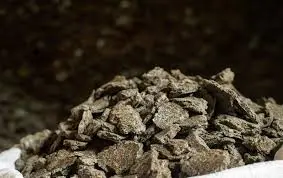 Sunflower cake 2.webp