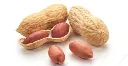 Groundnuts.webp