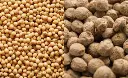 Soya Beans.webp