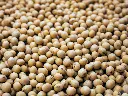 unsplash_AlqMN9ub3Aw_soya beans.webp