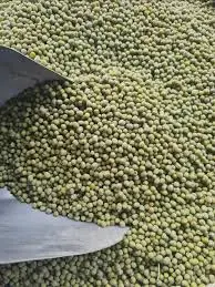 green grams (ndengu)3.webp