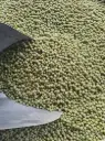 Green grams [Ndengu] 90Kg