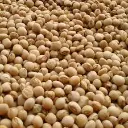 Pigeon peas [Mbaazi] 90Kg