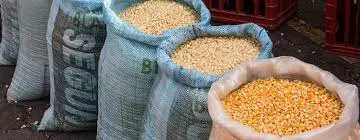 Maize 90Kg