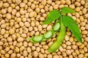 Soya beans