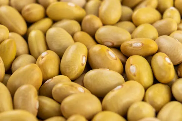 Yellow beans 2Kg [Gorogoro]